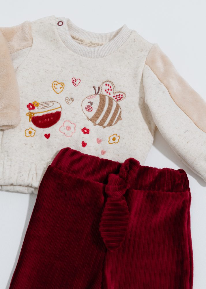 Conjunto Bebê Moletom Bordado Abelhinha Com Calça Veludo