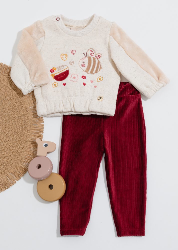 Conjunto Bebê Moletom Bordado Abelhinha Com Calça Veludo
