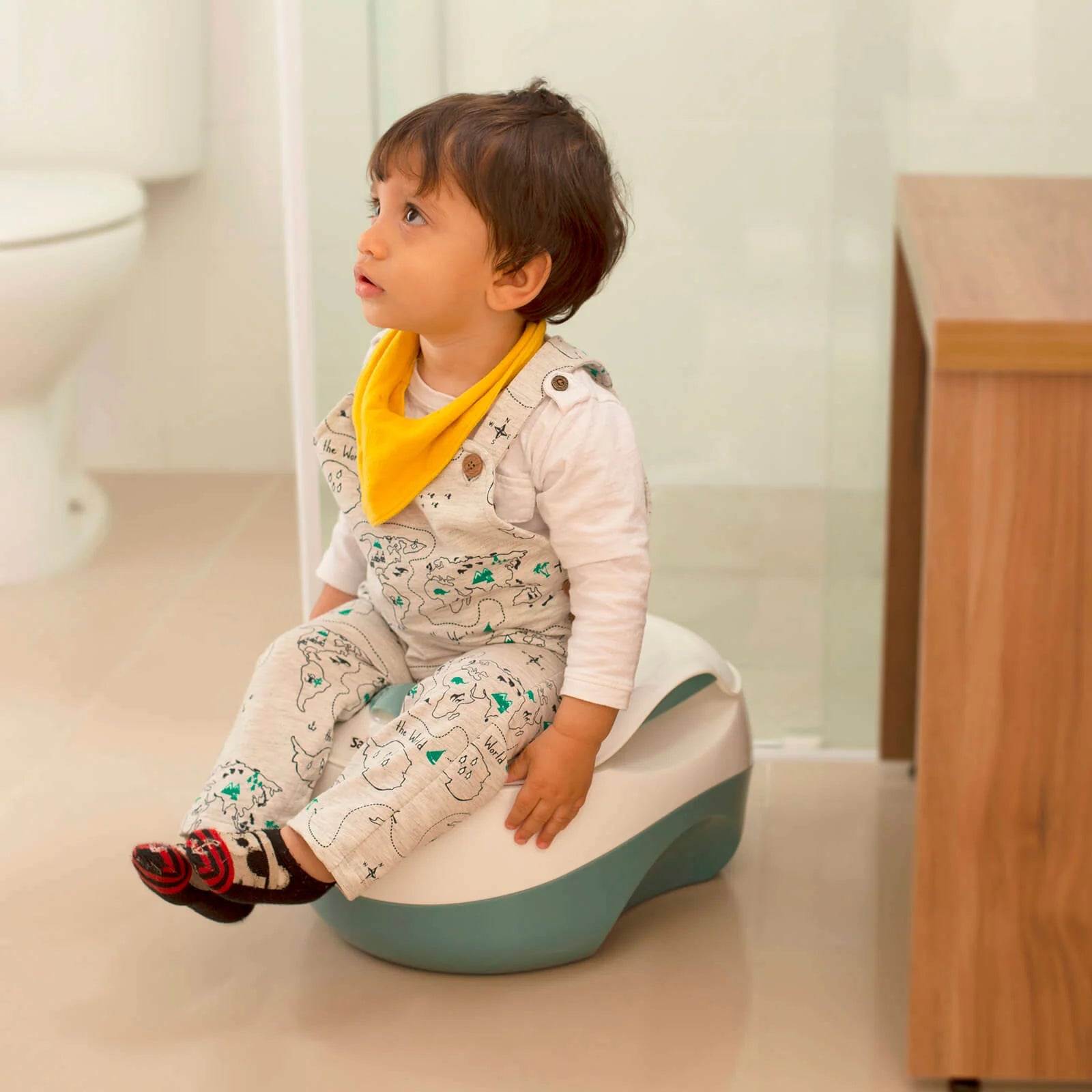Troninho Flex Potty 3 em 1 Azul Safety